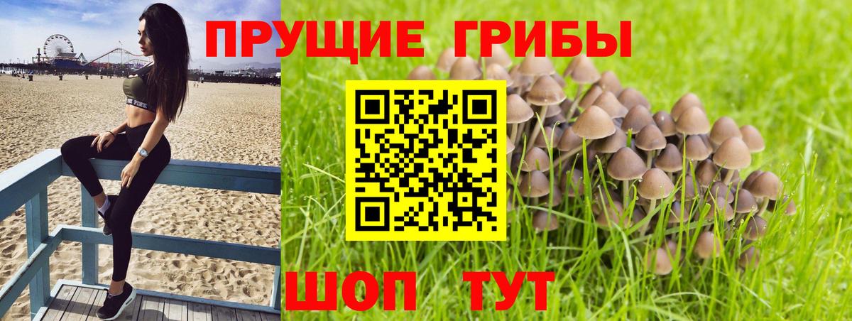 Галлюциногенные грибы мицелий  хочу   Кизляр  Вход с VPN 